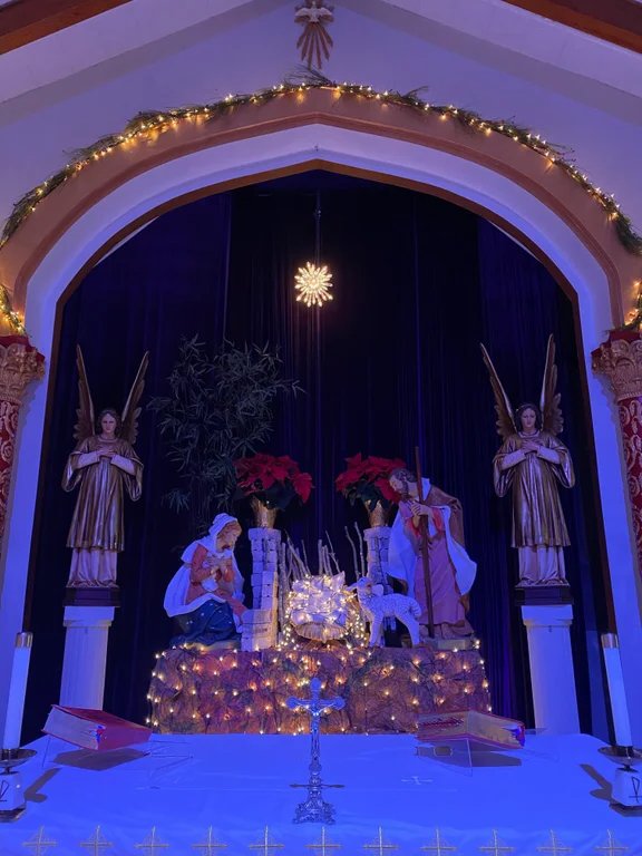 HOME sacredheartelsa